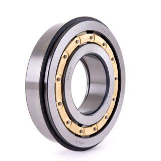 Cylindrical roller bearings (F 19003)
