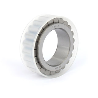Cylindrical roller bearings (F 19048)