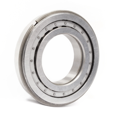 Cylindrical roller bearings (F 19101)